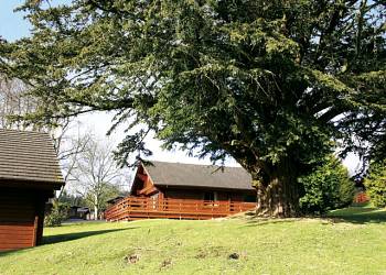 Conifer Lodges