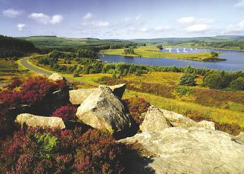 Kielder Water Lodges
