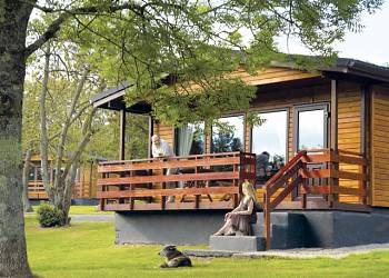 Conifer Lodges