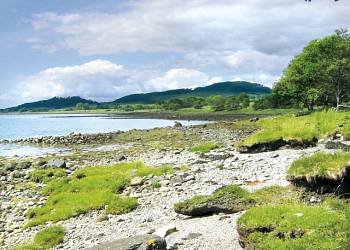 Appin Holiday Homes