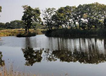 Sanctuary Lodges 