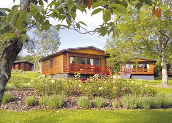 Conifer Lodges