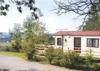 Wigley Orchard